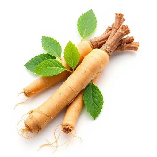 Extrait de Ginseng