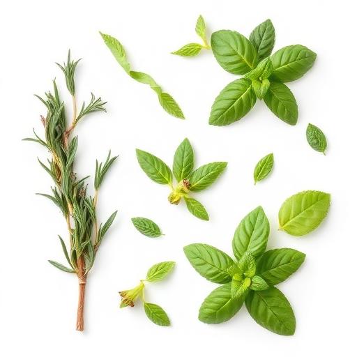 Herbal Chem